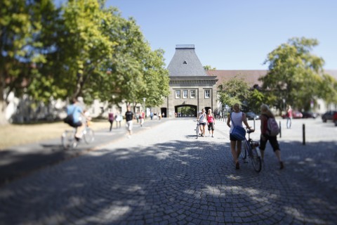 © Thomas Hartmann, Johannes Gutenberg-Universität Mainz